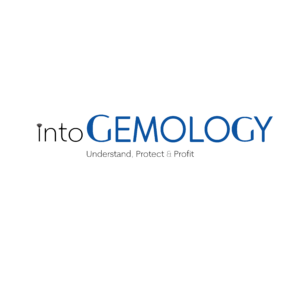 intogemology logo for footer , world number one private gemology tutor